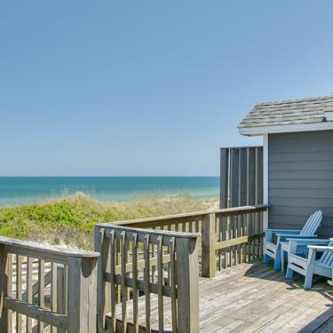 Dolphins Walk Dolphins Walk