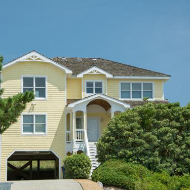 Dances With Dolphins Dances With Dolphins